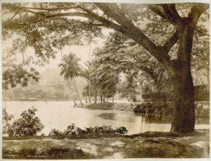 Sri Lanka (già Ceylon) - Kandy - Lago - Vegetazione