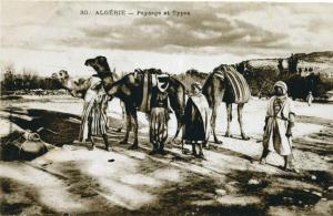Algeria - Carovana con cammelli