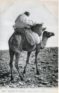 Algeria - Cammello e cammelliere