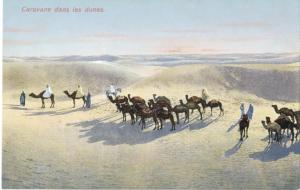 Algeria - Carovana nel deserto