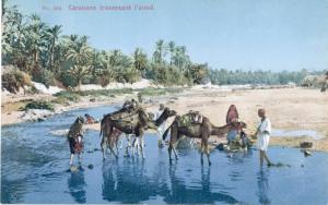 Algeria - Carovana mentre attraversa un fiume