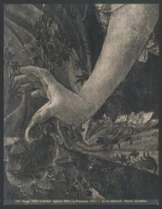 Dipinto - Allegoria della Primavera (particolare di una mano di Flora) - Sandro Botticelli - Firenze - Galleria degli Uffizi