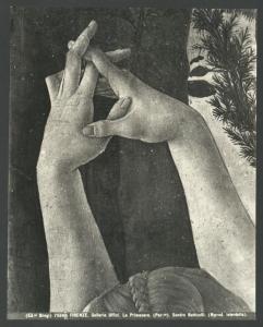 Dipinto - Allegoria della Primavera (particolare delle mani delle Grazie) - Sandro Botticelli - Firenze - Galleria degli Uffizi