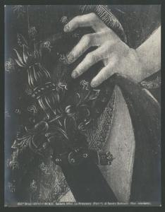 Dipinto - Allegoria della Primavera (particolare della mano e dell'elsa di Mercurio) - Sandro Botticelli - Firenze - Galleria degli Uffizi