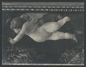 Dipinto - Allegoria della Primavera (particolare dell'Amorino) - Sandro Botticelli - Firenze - Galleria degli Uffizi
