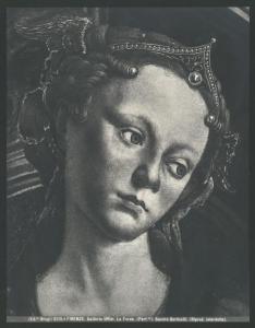 Dipinto - Fortezza (particolare del volto) - Sandro Botticelli - Firenze - Galleria degli Uffizi