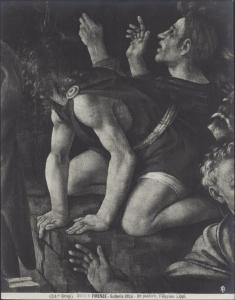 Dipinto - Adorazione dei Magi (particolare di un pastore) - Filippino Lippi - Firenze - Galleria degli Uffizi