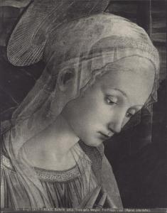 Dipinto - Adorazione di Gesù Bambino (particolare di Maria Vergine) - Filippo Lippi - Firenze - Galleria degli Uffizi
