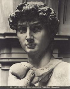 Scultura - David (particolare del volto) - Michelangelo Buonarroti - Firenze - Galleria dell'Accademia