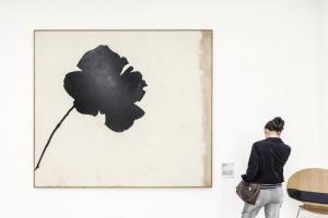 Milano - Museo del Novecento - Sala Informale segnico e gestuale - "Senza titolo (rosa nera)" di Jannis Kounellis - 1966