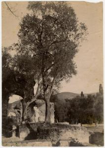 Giovane drappeggiato, sullo sfondo alcune rovine e degli alberi