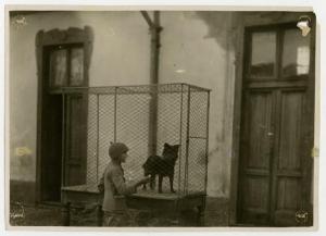 Milano - Canile Municipale - Un bambino di fronte ad una gabbia con un cane