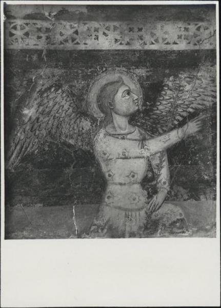 Dipinto murale - Annunciazione (particolare dell'Arcangelo Gabriele) - Bormio (?)
