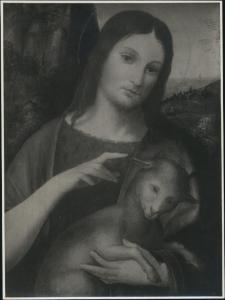 Dipinto - Il divin Pastore (particolare) - Andrea Solario - Milano - Collezione Trivulzio