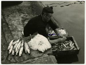 Camogli - Porto e Piazza Colombo - Sagra del pesce - Pescatore intento a pulire il pesce