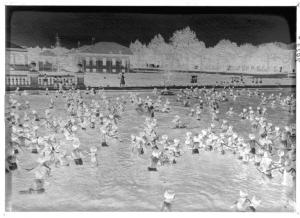 Milano - Parco Trotter - Scuola "Umberto I di Savoia" - piscina all'aperto - bambini in acqua