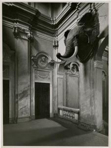 Milano - via S. Maurilio 14 - Casa dei Botta - interno - testa di elefante imbalsamato