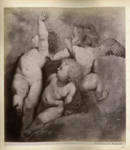 Dipinto - Studi di putti - Rubens - Budapest - Museum of Fine Arts