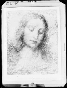 Disegno - Testa di Cristo - Leonardo da Vinci - Pinacoteca Nazionale di Brera - Milano