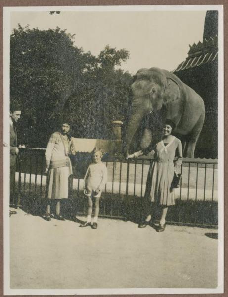 Ritratto di gruppo - Marieda Di Stefano, Mariuccia Mendini e Gigi Bosisio con elefante - Berlino - Zoo