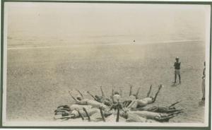 Ritratto di gruppo - Marieda di Stefano e altre persone sdraiate sulla spiaggia in cerchio con le braccia alzate - Finale Ligure, Varigotti