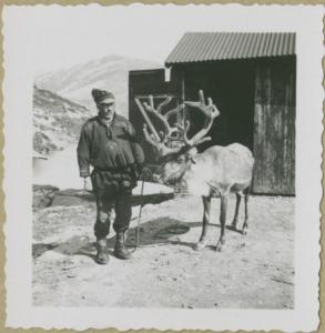 Ritratto maschile - Uomo, lappone con renna - Geiranger, Djupvatn