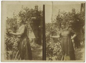 Ritratto femminile - Elvira Lazzaroni davanti a una pianta - Esterno, giardino / Ritratto femminile - Donna davanti a una pianta - Esterno, giardino