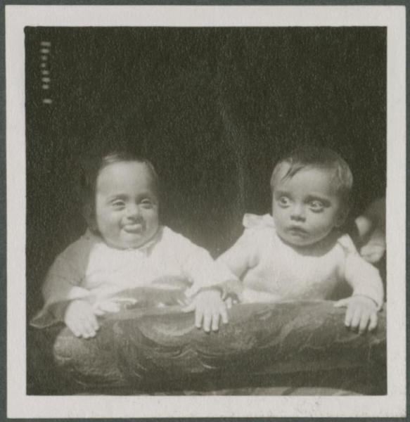 Ritratto di bambini - Alessandro e Maria Teresa (Mia) Mendini, gemelli, neonati - Milano - Casa Di Stefano di via Giorgio Jan, 15