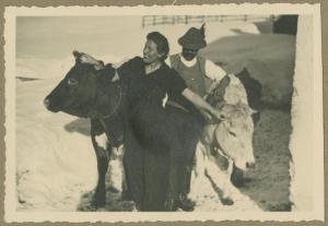 Ritratto di coppia - Marieda Di Stefano con due vitelli e il loro pastore - Braies: altopiano Prato Piazza - Esterno - Neve