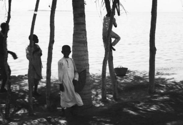 Viaggio in Africa. Massaua - lungomare - alberi di palma - bambini indigeni