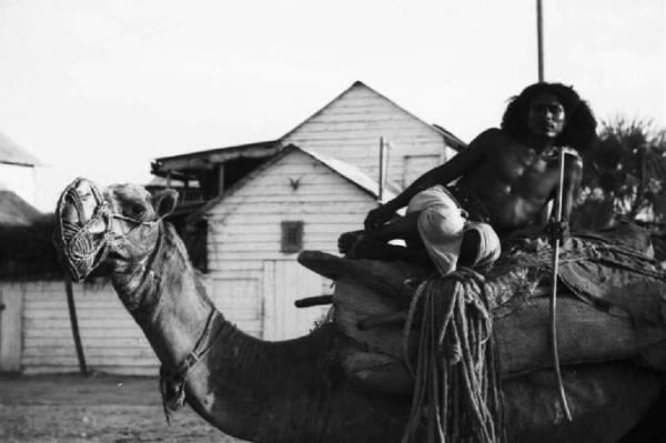 Viaggio in Africa. Massaua - ritratto maschile - indigeno a dorso di cammello