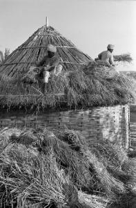 Prima Mostra Triennale delle Terre Italiane d'oltremare - padiglione dell'Africa Orientale Italiana - villaggio degli Indigeni - abitanti costruiscono una tipica abitazione africana