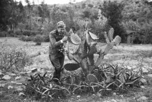 Viaggio in Africa. Afalba - militare italiano - pianta di cactus