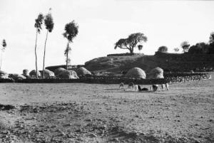 Viaggio in Africa. Afaalba - pecore al pascolo - villaggio - capanne protette da muri a secco