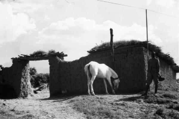 Viaggio in Africa. Militare e cavallo bianco all'esterno di una capanna col tetto in paglia