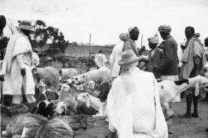 Viaggio in Africa. Asmara - mercato del bestiame - contrattazioni