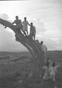 Viaggio in Africa. Mai Otzà - ritratto di gruppo - militare - Peppino e bambini indigeni posano arrampicati sul tronco di un albero secco