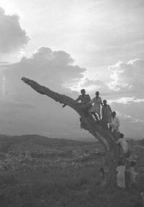 Viaggio in Africa. Mai Otzà - ritratto di gruppo - militare - Peppino e bambini indigeni posano arrampicati sul tronco di un albero secco