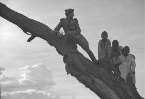 Viaggio in Africa. Mai Otzà - ritratto di gruppo - militare - Peppino e bambini indigeni posano arrampicati sul tronco di un albero secco. Controluce
