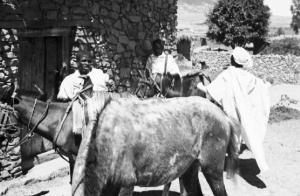 Viaggio in Africa. Indigeni sellano i cavalli per la parata militare nei pressi di un villaggio