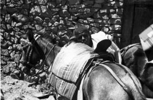 Viaggio in Africa. Indigeni sellano i cavalli per la parata militare nei pressi di un villaggio