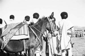Viaggio in Africa. Militari indigeni schierati per la parata militare nei pressi di Adigrat - cavallo con particolare sella in primo piano