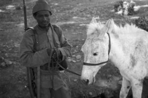 Viaggio in Africa. Soldato italiano con mulo
