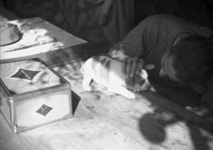 Viaggio in Africa. Quiha: Federico Patellani che accarezza un cucciolo di cane appoggiato su un tavolo