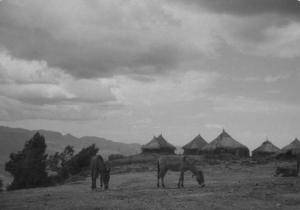 Viaggio in Africa. Paesaggio africano: villaggio di capanne in pietra con tetti di paglia e muli al pascolo