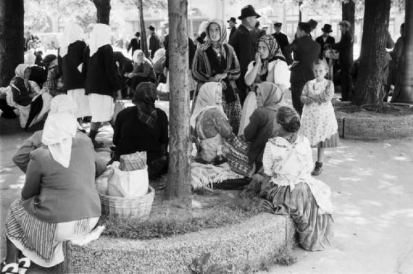 Viaggio in Jugoslavia. Parco di Zagabria: donne sedute attorno ad un albero