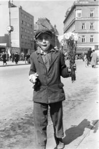 Viaggio in Jugoslavia. Zagabria: mercato. Ritratto maschile, bambino che vende fiori