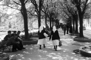 Viaggio in Jugoslavia. Parco di Zagabria, gruppo di uomini seduti su una panchina e due donne che camminano lungo un viale