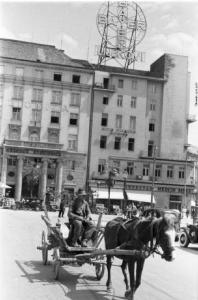 Viaggio in Jugoslavia. Zagabria: carretto trainato da un cavallo. Sullo sfondo un edificio che reca la pubblicità dell'azienda farmaceutica Bayer