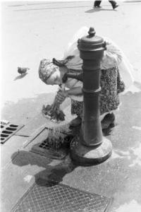 Viaggio in Jugoslavia. Zagabria: donna croata, in abiti tradizionali, bagna un mazzo di fiori sotto il getto di una fontanella